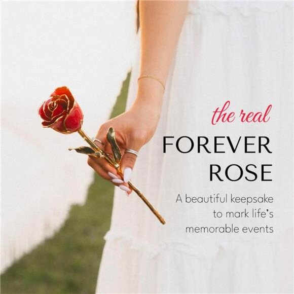 Forever Rose Real 24K Gold Rose, Genuine Kind Rose Hand Dipped in 24K Gold Roses - Picture 6 of 7